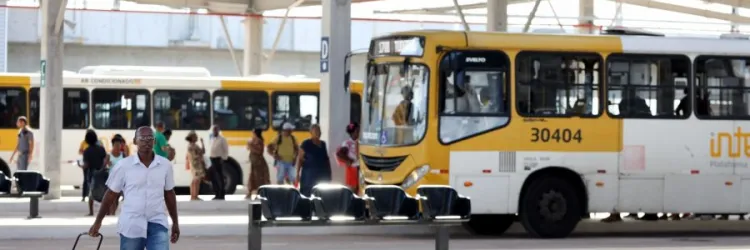 Isenção de IPVA para transporte coletivo já pode ser solicitada pela plataforma ba.gov.br
